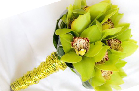 Орхидеи для свадьбы