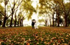 Свадьба осенью