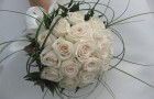 Белые розы в морозный день