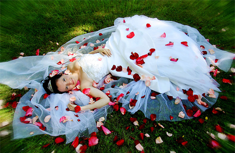 Лепестки роз  для свадебной фотосессии