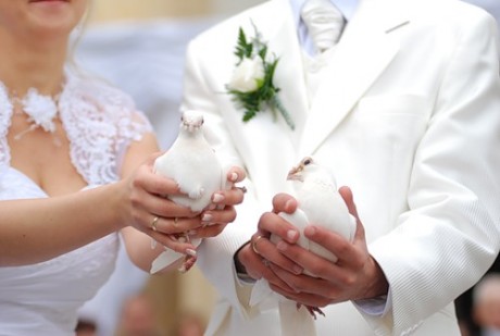 Пара голубей - символ любви