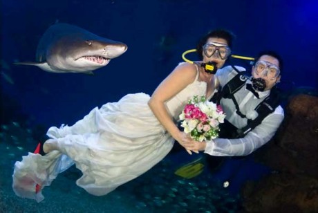 Свадьба в аквариуме