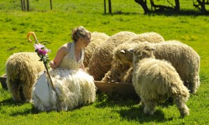 Китайский свадебный гороскоп 2012: Коза (Овца)