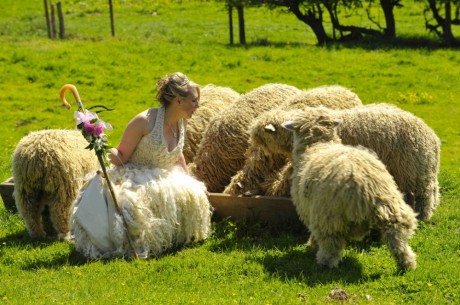 Китайский свадебный гороскоп 2012 для Козы (Овцы)