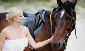 Китайский свадебный гороскоп 2012: Лошадь