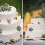 Украшай свадебный торт суккулентами