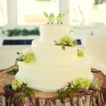 Пень дерева - необычный поднос для свадебного торта