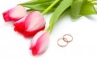 Тюльпаны для твоей свадьбы