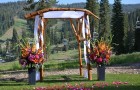 Log Wedding Arch (2)