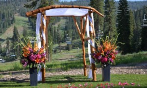 Log Wedding Arch (2)