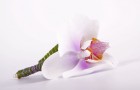 Бутоньерка из орхидеи