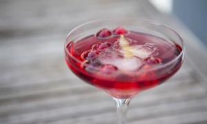 best-wedding-reception-cocktails-signature-drinks-cranberry-sparkler__full-carousel