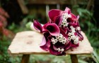 Calla-and-Waxflower-Bouquet