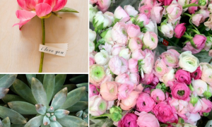 wedding-flower-inspiration-peonies-ranunculus-succulents__full