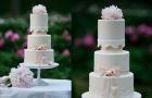 romantic-elegant-wedding-cake-bow-lace-applique__full
