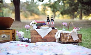 04-vintage-picnic-record-player-camera