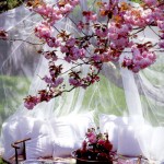 Свадебный пикник в сиреневом цвете