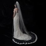 Невеста в свадебном платье с длинной фатой