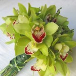Орхидеи зеленого цвета
